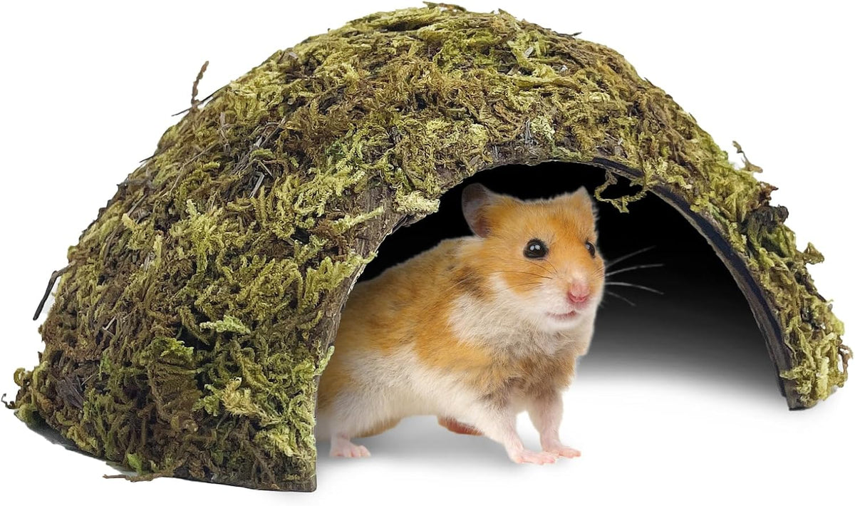 Hamster Hideout Natural Mossy Cave Hamster Houses and Hideouts Moss Covered Coconut Enclosed Hiding Hut for Mice Habitat Hamster Cage Accessories for Dwarf Gerbil Syrian Fancy Mouse
