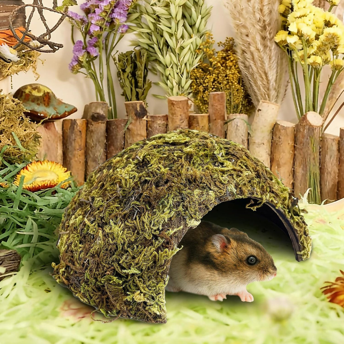 Hamster Hideout Natural Mossy Cave Hamster Houses and Hideouts Moss Covered Coconut Enclosed Hiding Hut for Mice Habitat Hamster Cage Accessories for Dwarf Gerbil Syrian Fancy Mouse