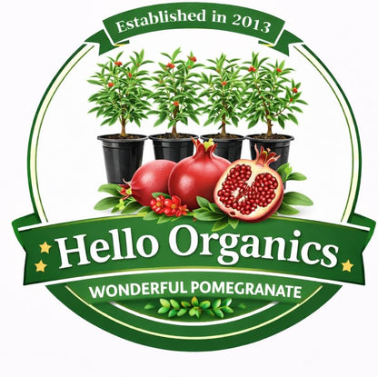 Pomegranate Wonderful Includes (4) Four Plants