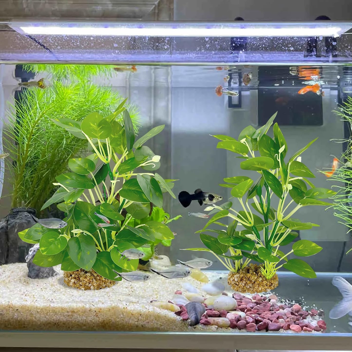 Silk Aquarium Plants (2-Pack) 9.8 Inch Artificial Plastic Fish Fish Habitat Decor, Small to Moderate Size Aquarium Decorations, Safe Green Plants for Freshwater Tanks
