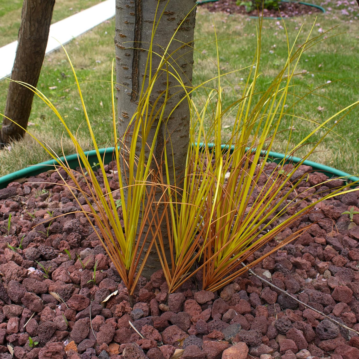 20PCS Artificial Grass Plant，UV Resistant Artificial Greenery Stems