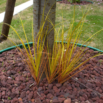20PCS Artificial Grass Plant，UV Resistant Artificial Greenery Stems