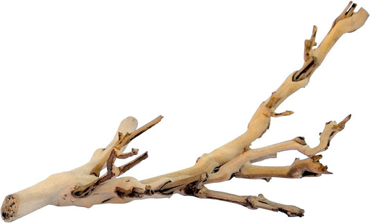 Forest Branch Small - Natural Wood Terrarium Decoration