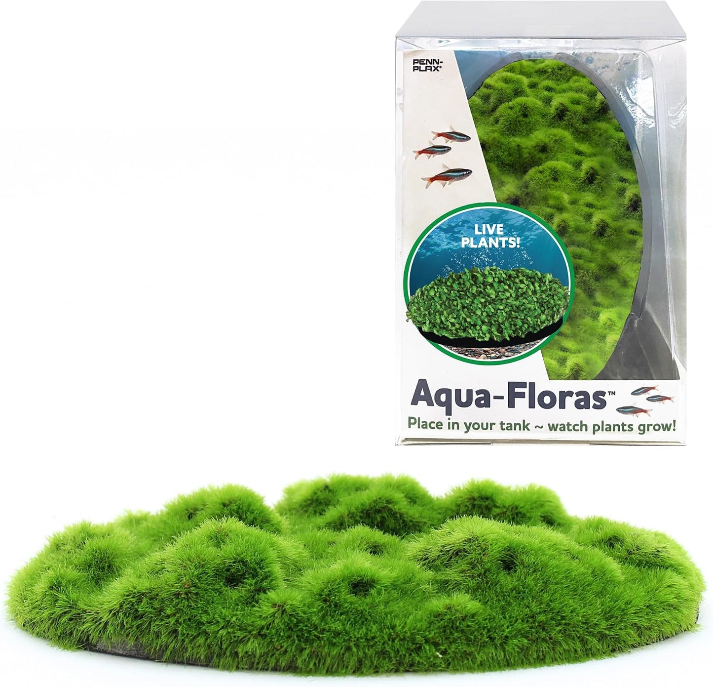 Aqua Flora Moss Patch - Aquarium Living Resin Decoration with Embedded Glosso Seeds - Easy-Grow Freshwater Moss for Natural Aquascapes - Safe Resin Decor - Green, 4.3 x 2.87 x 0.8 Inches