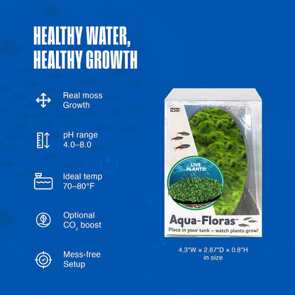 Aqua Flora Moss Patch - Aquarium Living Resin Decoration with Embedded Glosso Seeds - Easy-Grow Freshwater Moss for Natural Aquascapes - Safe Resin Decor - Green, 4.3 x 2.87 x 0.8 Inches