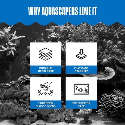 Aqua Flora Moss Patch - Aquarium Living Resin Decoration with Embedded Glosso Seeds - Easy-Grow Freshwater Moss for Natural Aquascapes - Safe Resin Decor - Green, 4.3 x 2.87 x 0.8 Inches