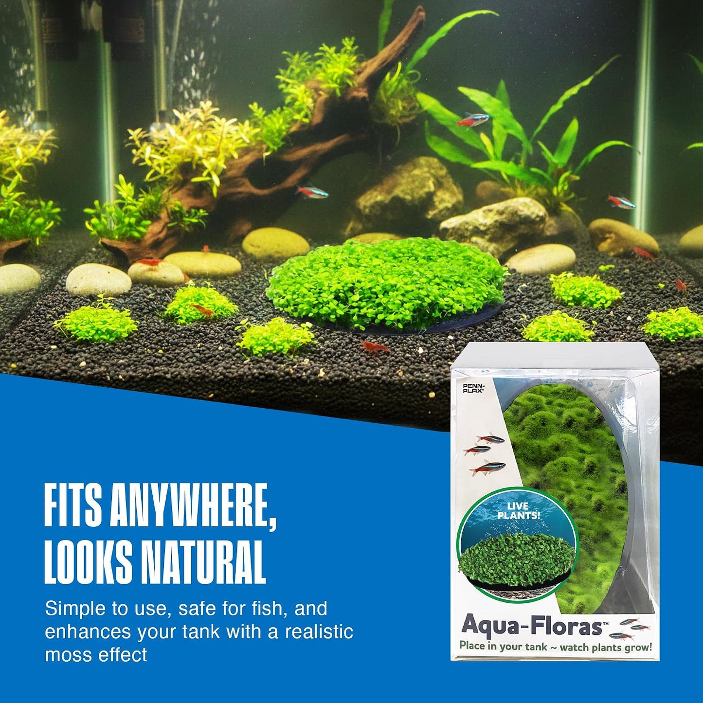 Aqua Flora Moss Patch - Aquarium Living Resin Decoration with Embedded Glosso Seeds - Easy-Grow Freshwater Moss for Natural Aquascapes - Safe Resin Decor - Green, 4.3 x 2.87 x 0.8 Inches