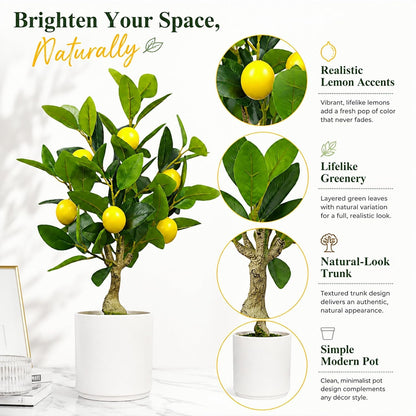 Artificial Lemon Tree 20.5 Inches Tall, Fake Potted Citrus Plant