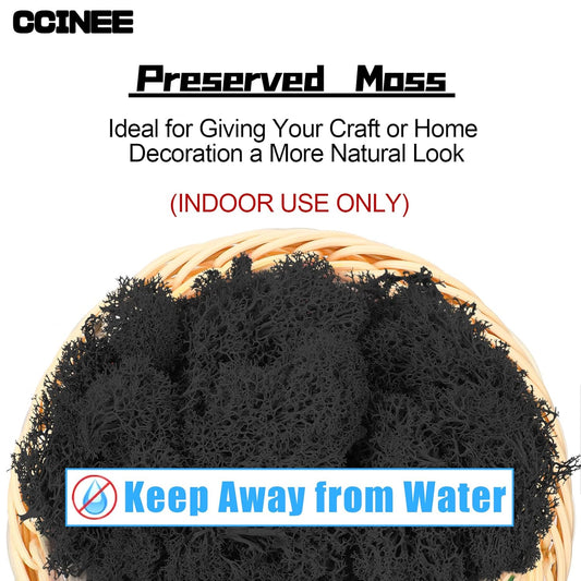 Moss Preserved, 4 OZ Fake Reindeer Moss for Potted Plants for Craft Arts Floral Wall Decor Wedding Centerpieces Fairy Garden Artificial Terrariums Decoration for Christmas(Black)