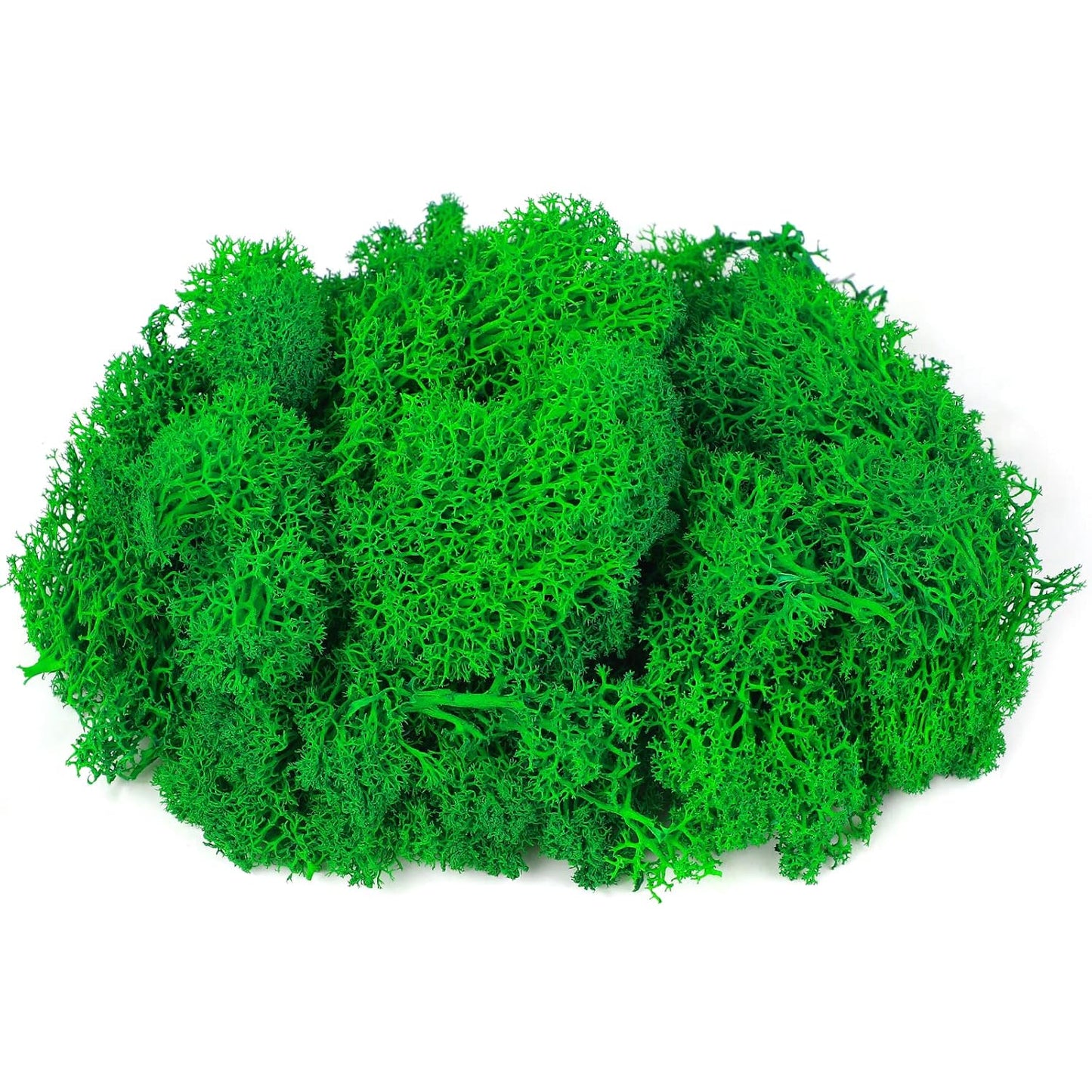Moss Preserved, 4 OZ Fake Reindeer Moss for Potted Plants for Craft Arts Floral Wall Decor Wedding Centerpieces Fairy Garden Artificial Terrariums Decoration for Christmas(Black)