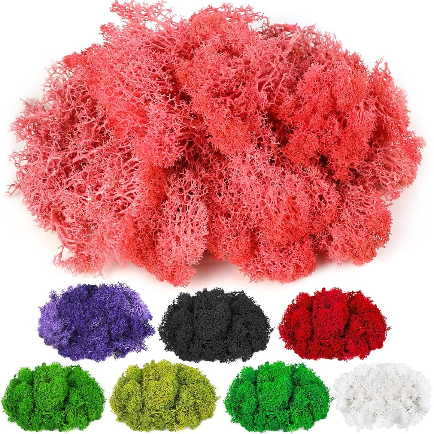 Moss Preserved, 4 OZ Fake Reindeer Moss for Potted Plants for Craft Arts Floral Wall Decor Wedding Centerpieces Fairy Garden Artificial Terrariums Decoration for Christmas(Black)