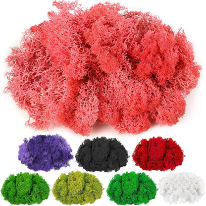 Moss Preserved, 4 OZ Fake Reindeer Moss for Potted Plants for Craft Arts Floral Wall Decor Wedding Centerpieces Fairy Garden Artificial Terrariums Decoration for Christmas(Black)