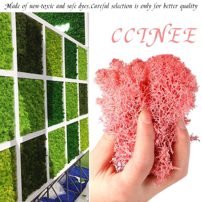 Moss Preserved, 4 OZ Fake Reindeer Moss for Potted Plants for Craft Arts Floral Wall Decor Wedding Centerpieces Fairy Garden Artificial Terrariums Decoration for Christmas(Black)