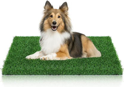 GLOBREEN Dogs Grass Pee Pad for Puppy Potty Training, Pet Friendly Artificial Grass Turf Mat Outdoor Indoor Use, High Drainage, 39.3" x 31.5"