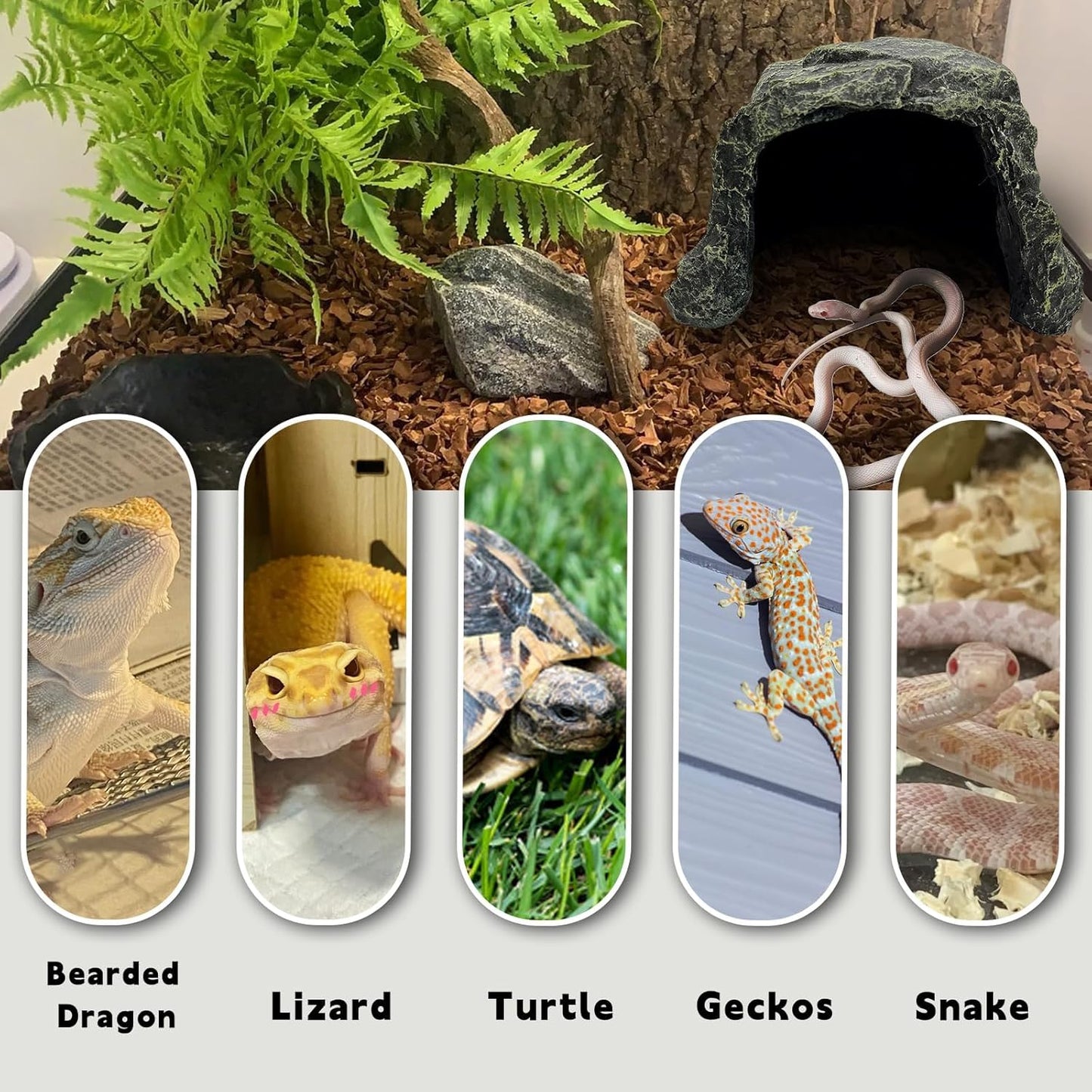 Reptile Hideout,Tortoise Hide Cave,Resin Rock,Bearded Dragon Hideaway,Turtle Basking Platform,Reptiles Habitat Decor Tank Accessories for Lizards Gecko Snakes Chameleon Frogs