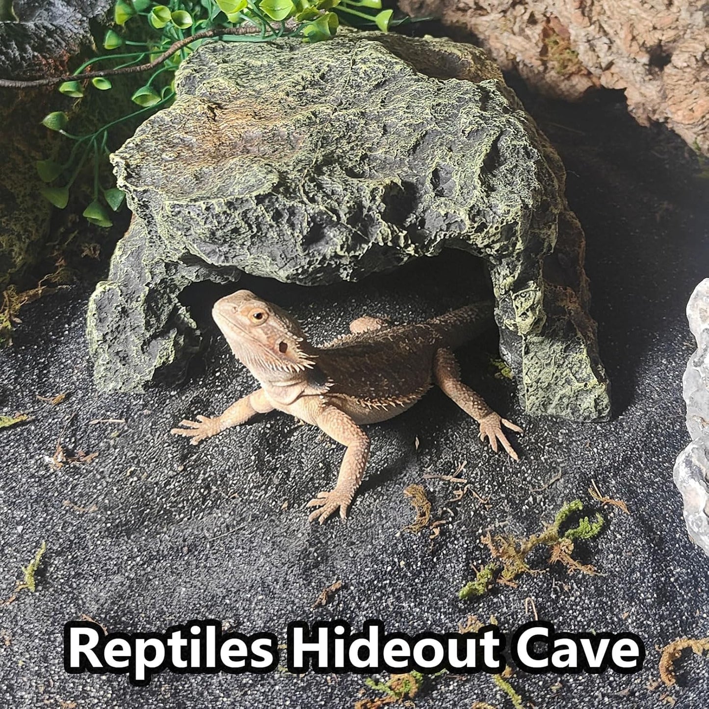 Reptile Hideout,Tortoise Hide Cave,Resin Rock,Bearded Dragon Hideaway,Turtle Basking Platform,Reptiles Habitat Decor Tank Accessories for Lizards Gecko Snakes Chameleon Frogs