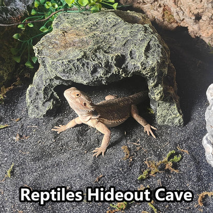 Reptile Hideout,Tortoise Hide Cave,Resin Rock,Bearded Dragon Hideaway,Turtle Basking Platform,Reptiles Habitat Decor Tank Accessories for Lizards Gecko Snakes Chameleon Frogs