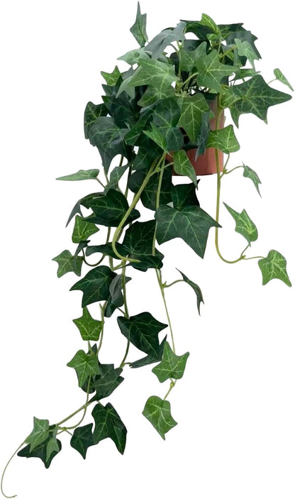 31.5" Artificial English Ivy Plant in Pot - Fake Silk Ivy Greenery for Home Decor, Tabletop, Office, Shelf, Balcony or Bathroom (1 Pack)