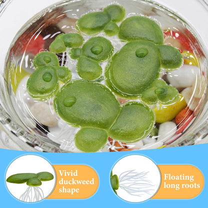 WishLotus 1Pack Artificial Floating Duckweed, Plastic Aquarium Floating Plants Mini Fake Duckweed, Plastic Aquarium Floating Plants for Fish Tank Aquariums Decor (3 Size) (3 Size)