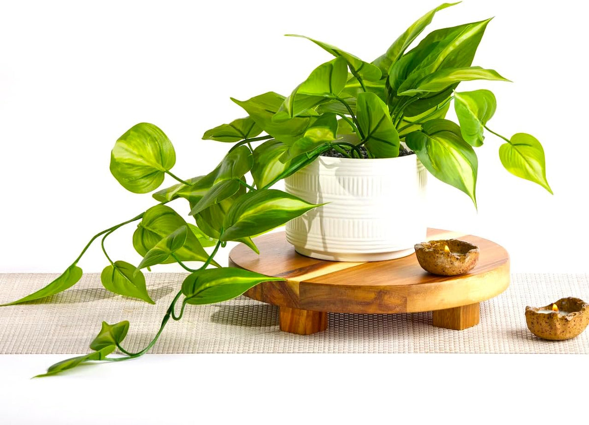 Dark Green Fake pothos | Fake Plant for Shelf Decor | Artificial Trailing Ivy Plant with 5" Wide Ceramic Pot | Faux pothos | Feaux Pothos | Bathroom and Kitchen Decor