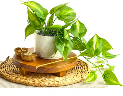 Dark Green Fake pothos | Fake Plant for Shelf Decor | Artificial Trailing Ivy Plant with 5" Wide Ceramic Pot | Faux pothos | Feaux Pothos | Bathroom and Kitchen Decor