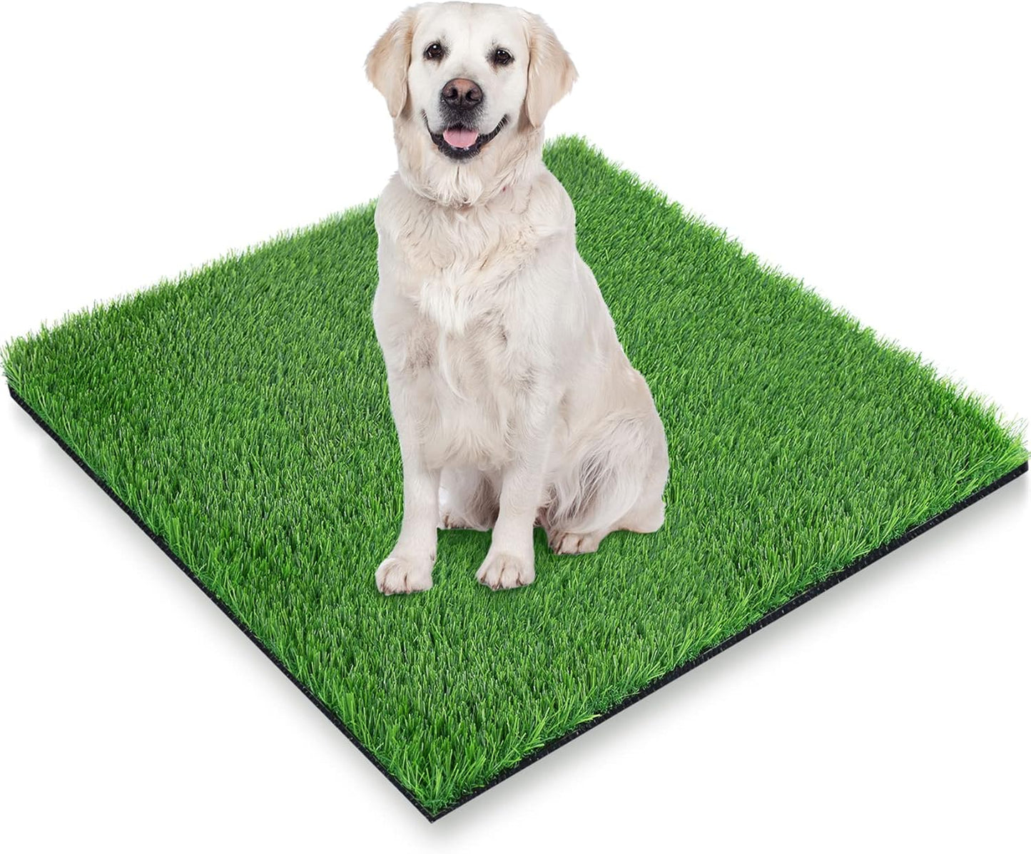 GLOBREEN Dogs Grass Pee Pad for Puppy Potty Training, Pet Friendly Artificial Grass Turf Mat Outdoor Indoor Use, High Drainage, 39.3" x 31.5"
