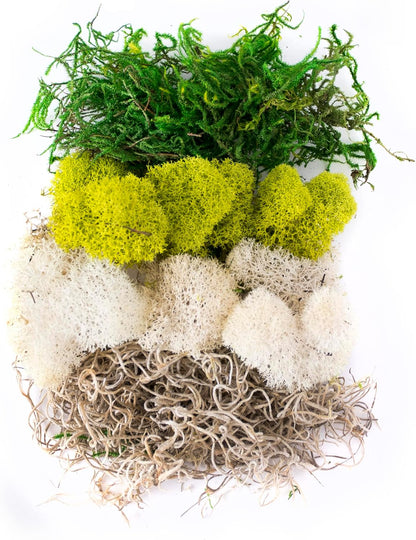 (23309) Moss Mix – Premium Decorative Moss for Crafts, Terrariums, Wedding & Table Décor, 80.75 Cubic inches (Approx. 2 oz), Halloween