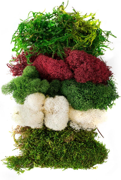(23309) Moss Mix – Premium Decorative Moss for Crafts, Terrariums, Wedding & Table Décor, 80.75 Cubic inches (Approx. 2 oz), Halloween