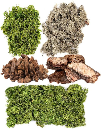 (23309) Moss Mix – Premium Decorative Moss for Crafts, Terrariums, Wedding & Table Décor, 80.75 Cubic inches (Approx. 2 oz), Halloween