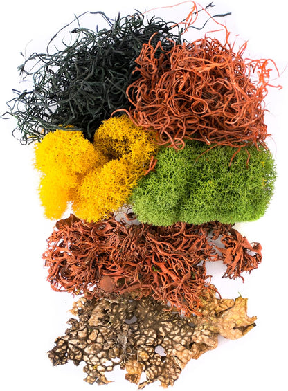 (23309) Moss Mix – Premium Decorative Moss for Crafts, Terrariums, Wedding & Table Décor, 80.75 Cubic inches (Approx. 2 oz), Halloween