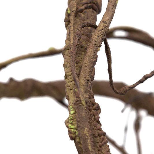 Ultimate Vine for Terrarium Habitat (Brown)