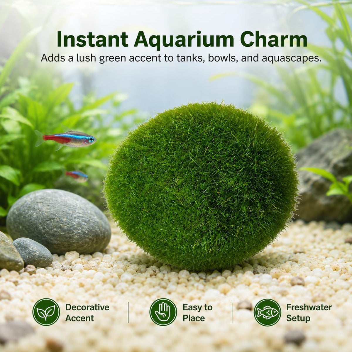 Artificial Moss Balls for Aquarium, Fake Moss Ball Decorative Rocks, Green Moss Covered Stones for Fish Tank Decor, Terrarium, Fairy Garden, Floral Arrangements (Extra Large 6 pcs)