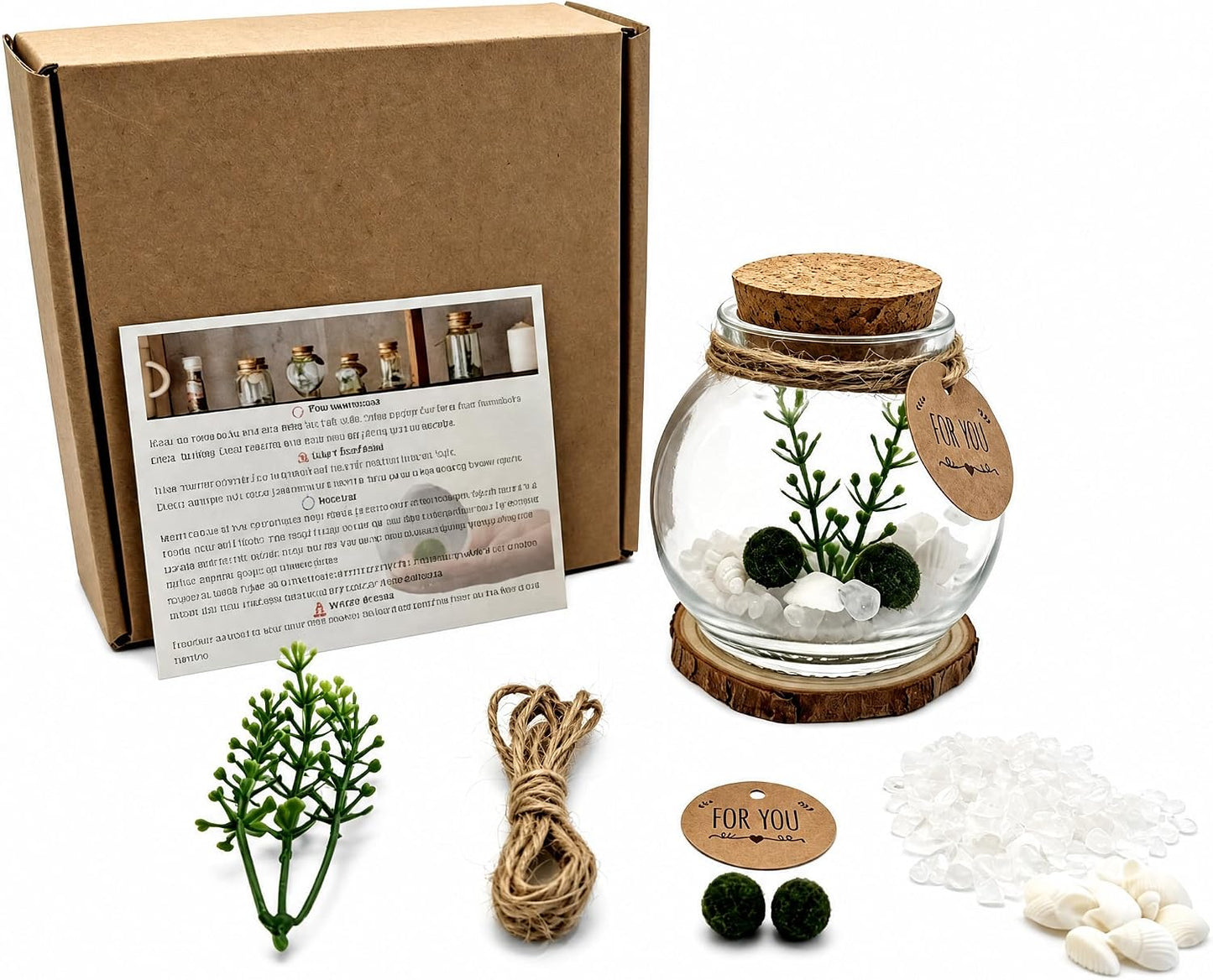 Moss Ball Terrarium Kit – Includes Glass Jar, Cork Lid, Wooden Base, Aquatic Plants, Lucky Clear Quartz & Shells