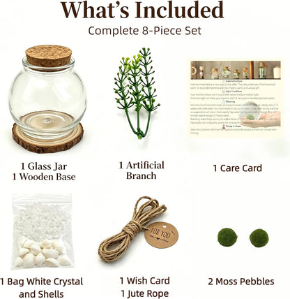 Moss Ball Terrarium Kit – Includes Glass Jar, Cork Lid, Wooden Base, Aquatic Plants, Lucky Clear Quartz & Shells