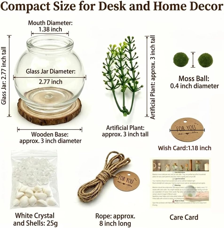 Moss Ball Terrarium Kit – Includes Glass Jar, Cork Lid, Wooden Base, Aquatic Plants, Lucky Clear Quartz & Shells