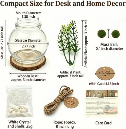 Moss Ball Terrarium Kit – Includes Glass Jar, Cork Lid, Wooden Base, Aquatic Plants, Lucky Clear Quartz & Shells