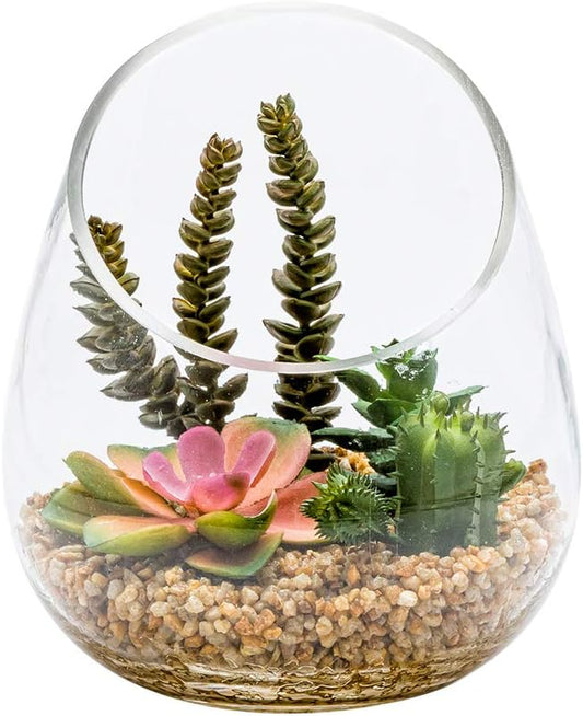 6 x 7 Inch Faux Succulent, 1 Artificial Succulent - In Incline Edge Glass Terrarium, Use As Table Or Shelf Decor, Centerpiece, Plastic Fake Desk Plant, For Homes Or Weddings