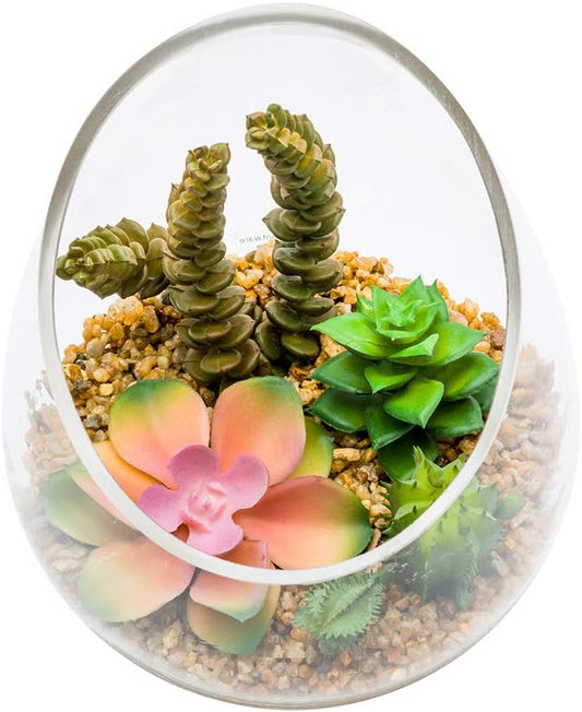 6 x 7 Inch Faux Succulent, 1 Artificial Succulent - In Incline Edge Glass Terrarium, Use As Table Or Shelf Decor, Centerpiece, Plastic Fake Desk Plant, For Homes Or Weddings