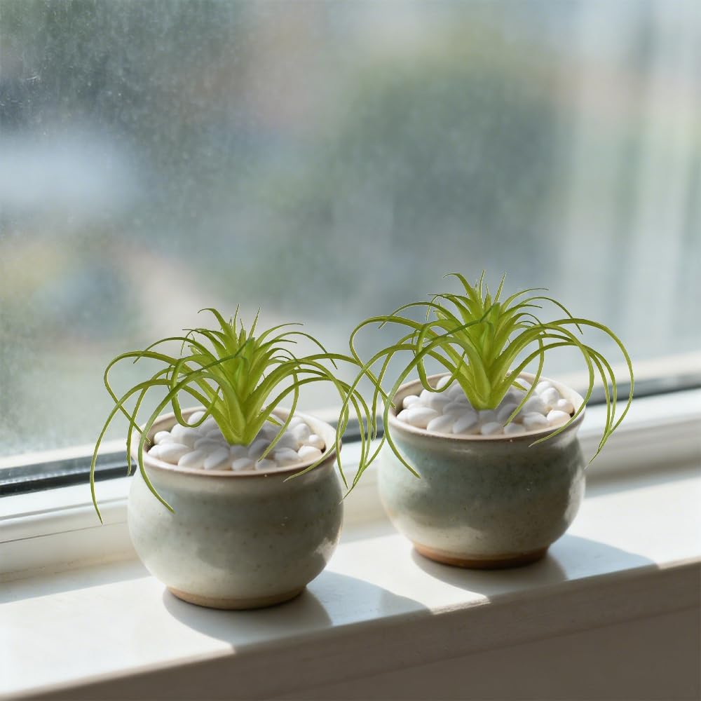 Artificial Succulents Plants 4PCS, Faux Succulents Unpotted Small Tillandsia Fake Succulent for Craft Lifelike Air Plants Floral Decor for Greenhouse Party, Garden & Outdoor
