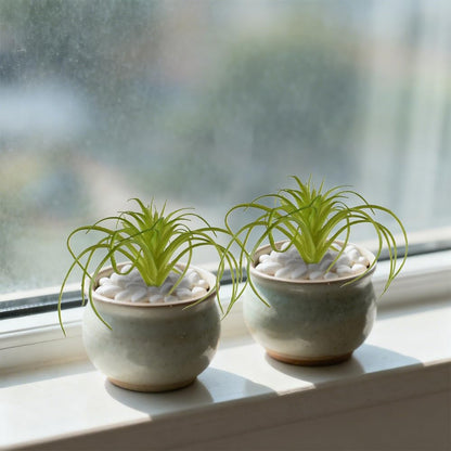 Artificial Succulents Plants 4PCS, Faux Succulents Unpotted Small Tillandsia Fake Succulent for Craft Lifelike Air Plants Floral Decor for Greenhouse Party, Garden & Outdoor