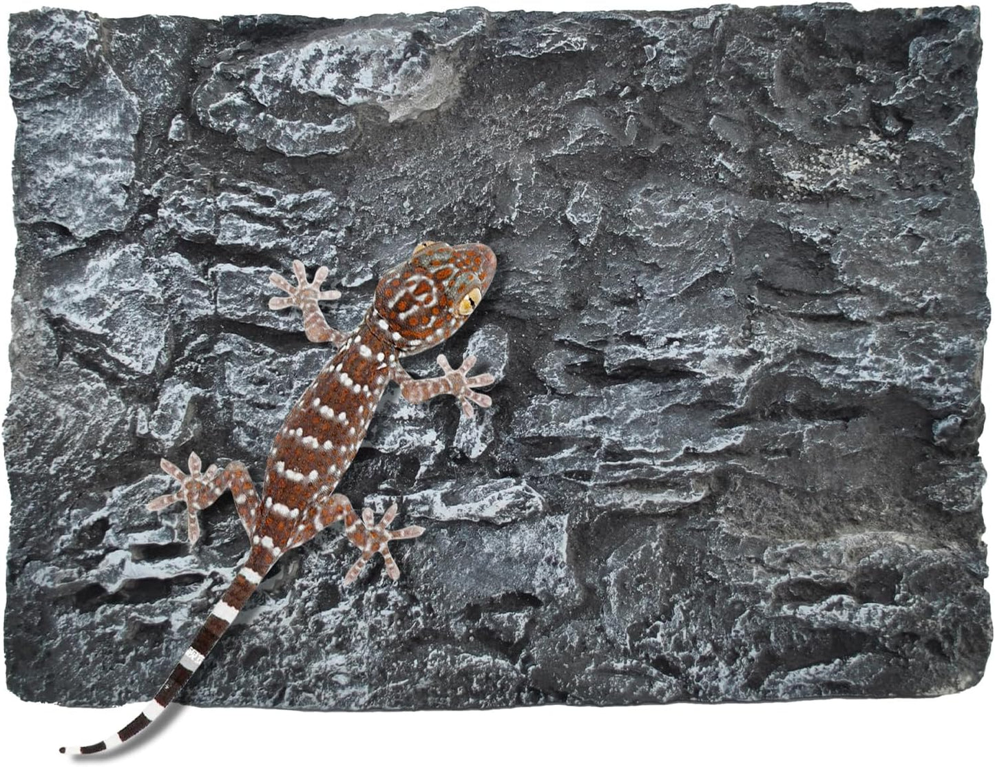 Rock Terrarium Background, 3D Reptile Tank Background Board Amphibian Stereo Backdrop Wall Reptile Stereo Decoration Aquarium Decoration Reptile Gecko Frog Lizard