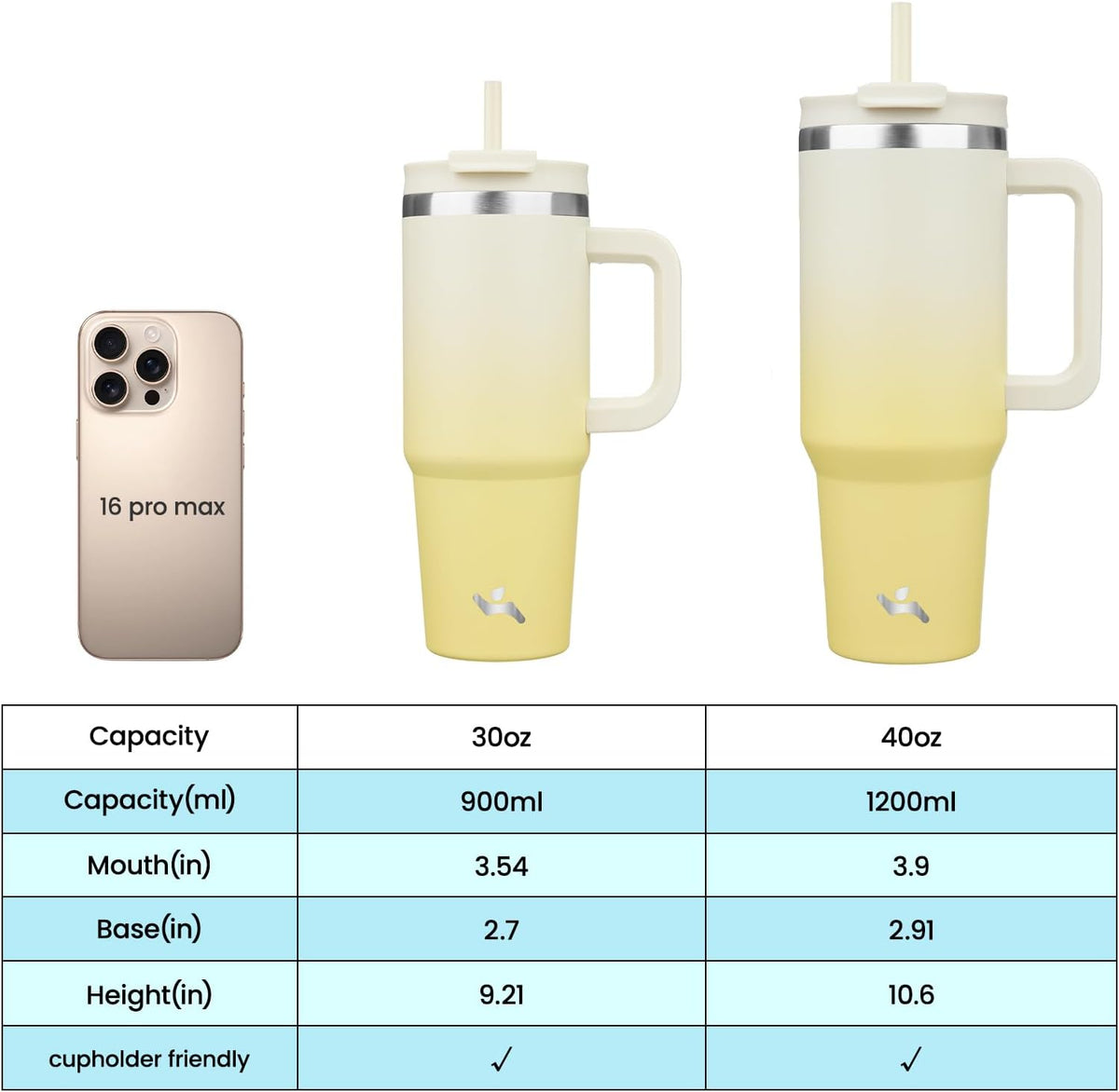 30 oz Insulated Tumbler Water Bottle with Handle, Straw Lid