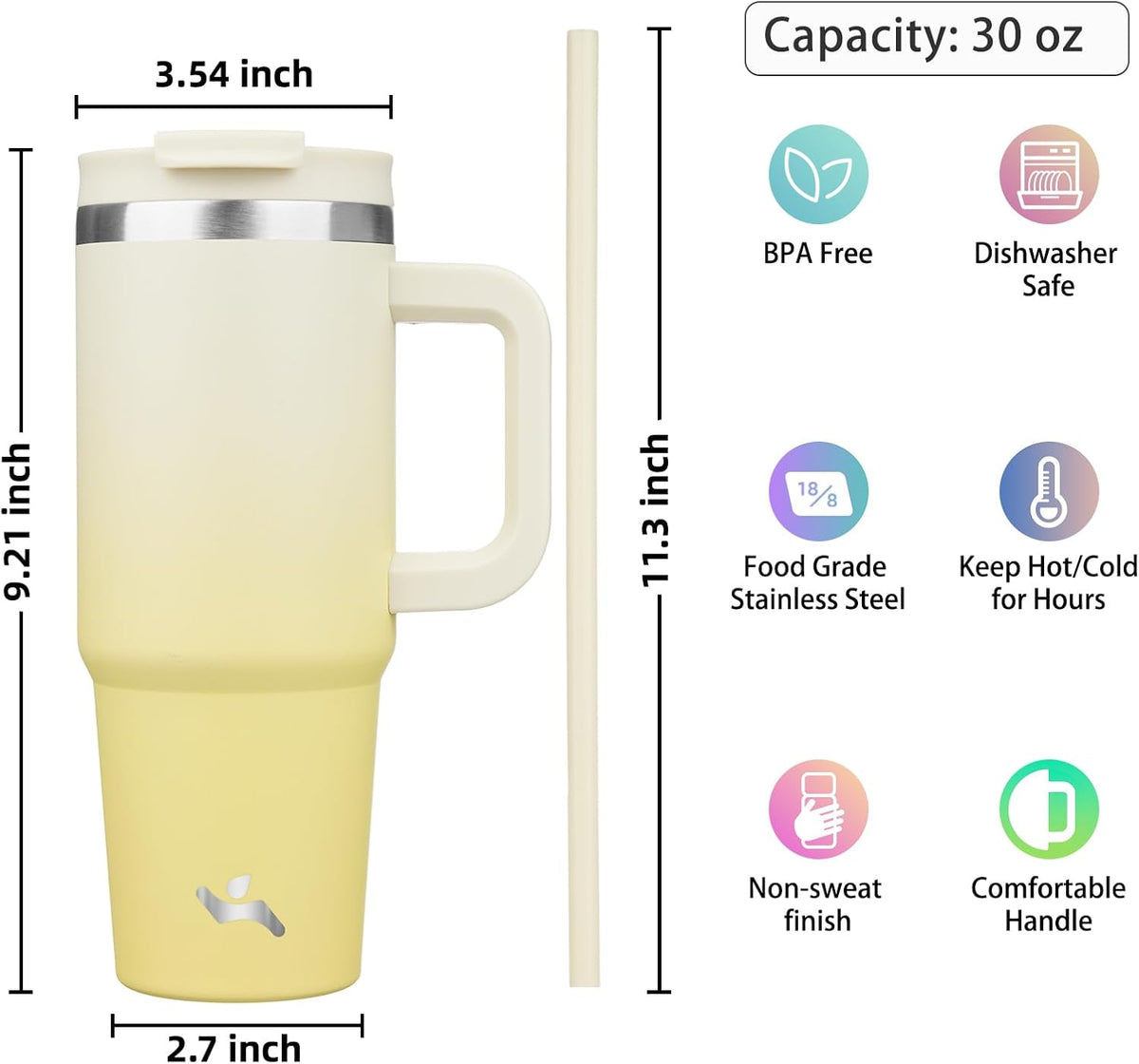 30 oz Insulated Tumbler Water Bottle with Handle, Straw Lid