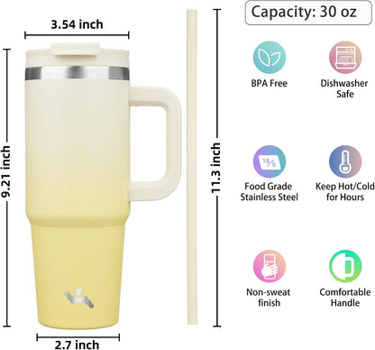 30 oz Insulated Tumbler Water Bottle with Handle, Straw Lid