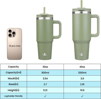 30 oz Insulated Tumbler Water Bottle with Handle, Straw Lid
