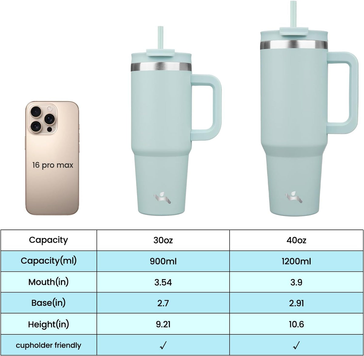 30 oz Insulated Tumbler Water Bottle with Handle, Straw Lid