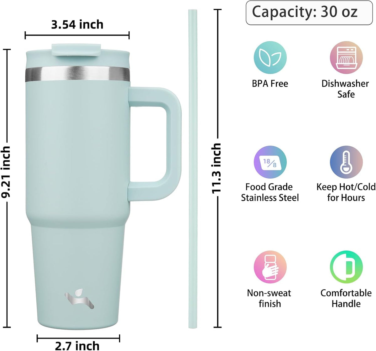 30 oz Insulated Tumbler Water Bottle with Handle, Straw Lid