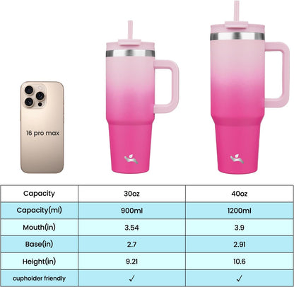 30 oz Insulated Tumbler Water Bottle with Handle, Straw Lid