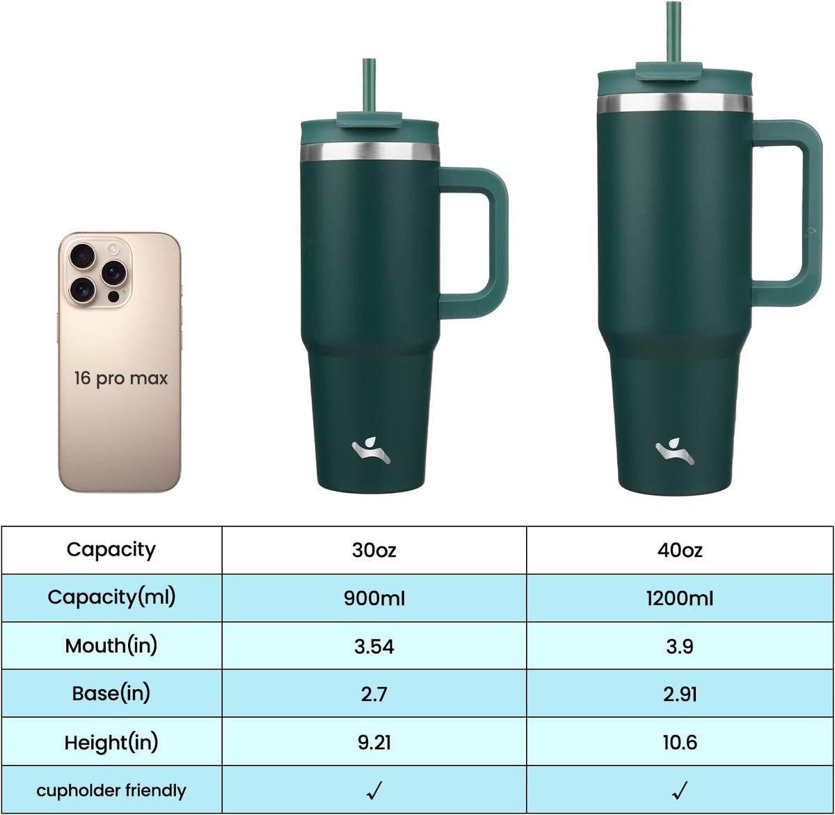 30 oz Insulated Tumbler Water Bottle with Handle, Straw Lid