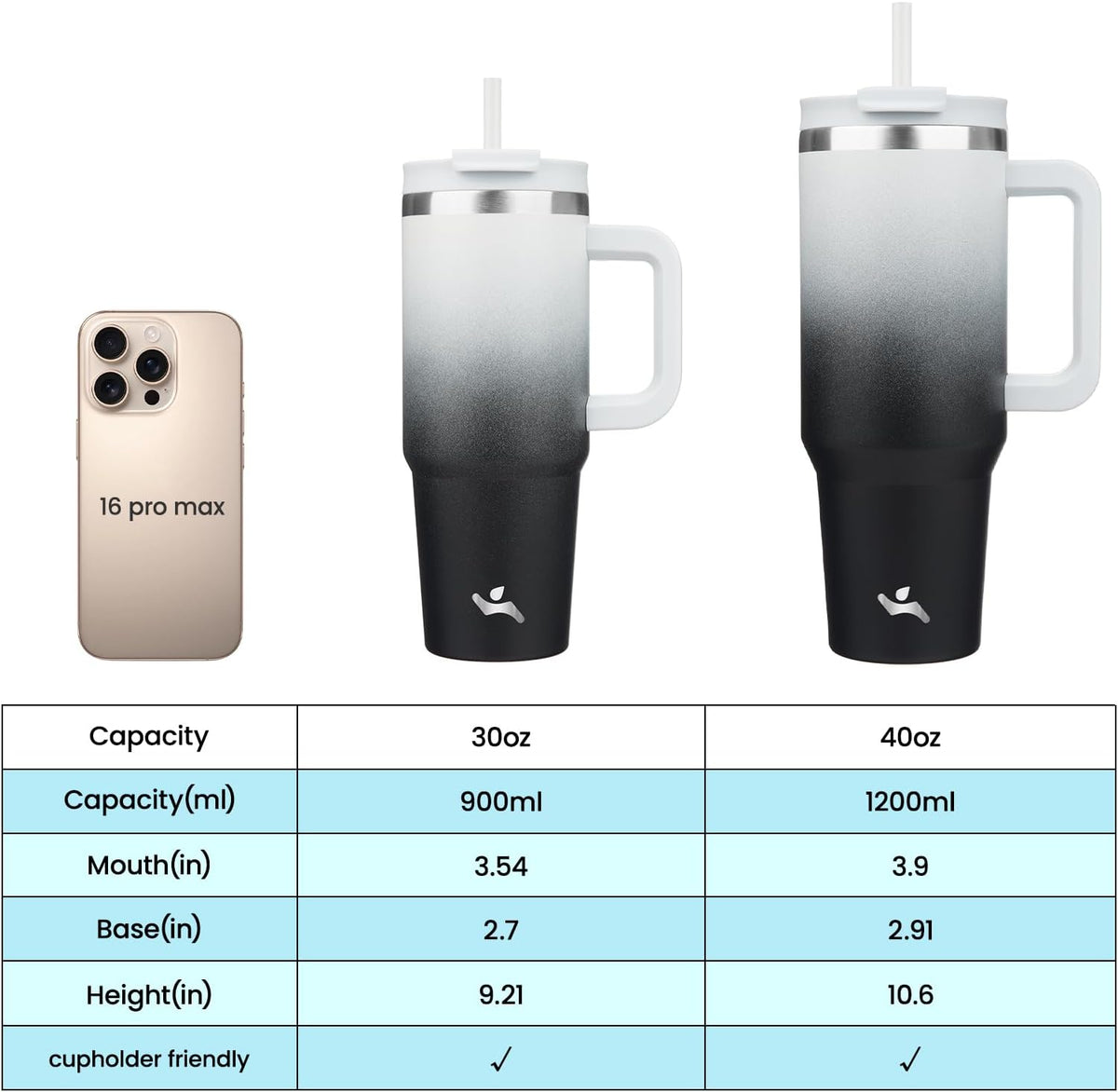 30 oz Insulated Tumbler Water Bottle with Handle, Straw Lid